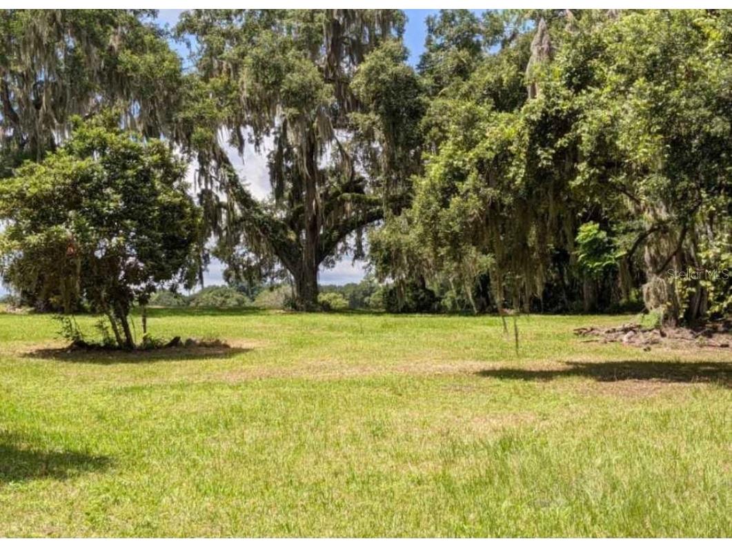 6123 Cr 734 Center Hill FL 33514 G5044977 image1