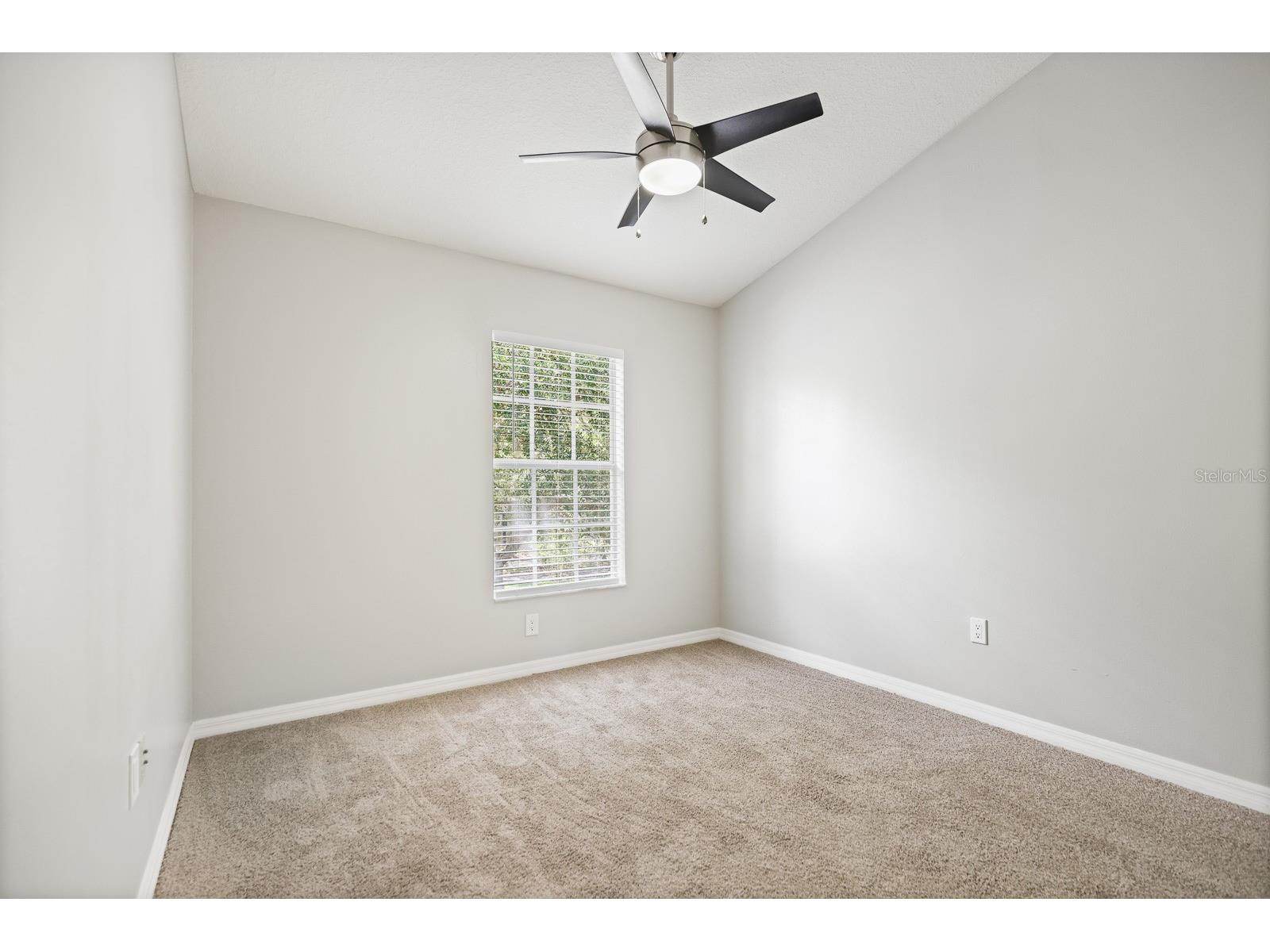 6123 Fishhawk Crossing Boulevard Lithia FL 33547 TB8510420 image18