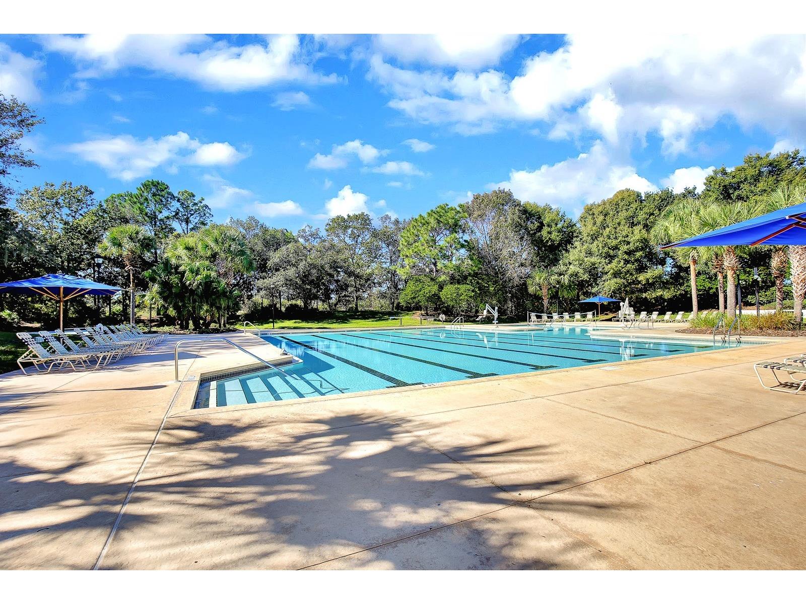 6123 Fishhawk Crossing Boulevard Lithia FL 33547 TB8510420 image30