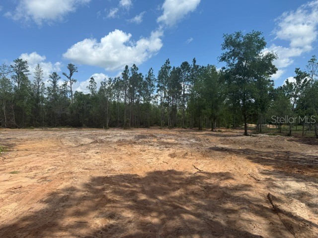 6123 Oil Well Road Clermont FL 34714 G5114902 image3