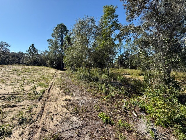 6123 Oil Well Road Clermont FL 34714 G5114902 image4