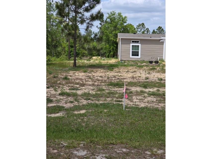6123 Oil Well Road Clermont FL 34714 G5114902 image5