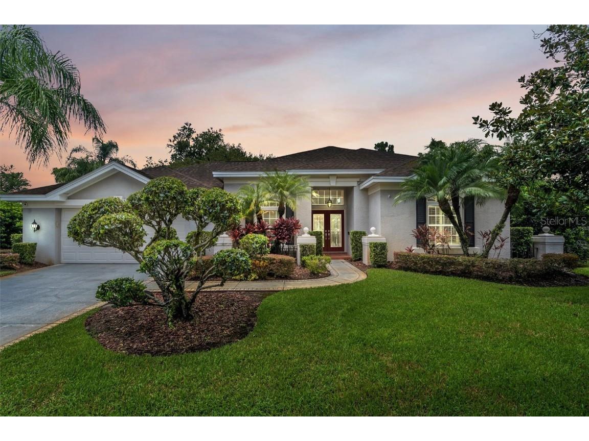 6123 Savoy Circle Lutz FL 33558 T3467405 image1