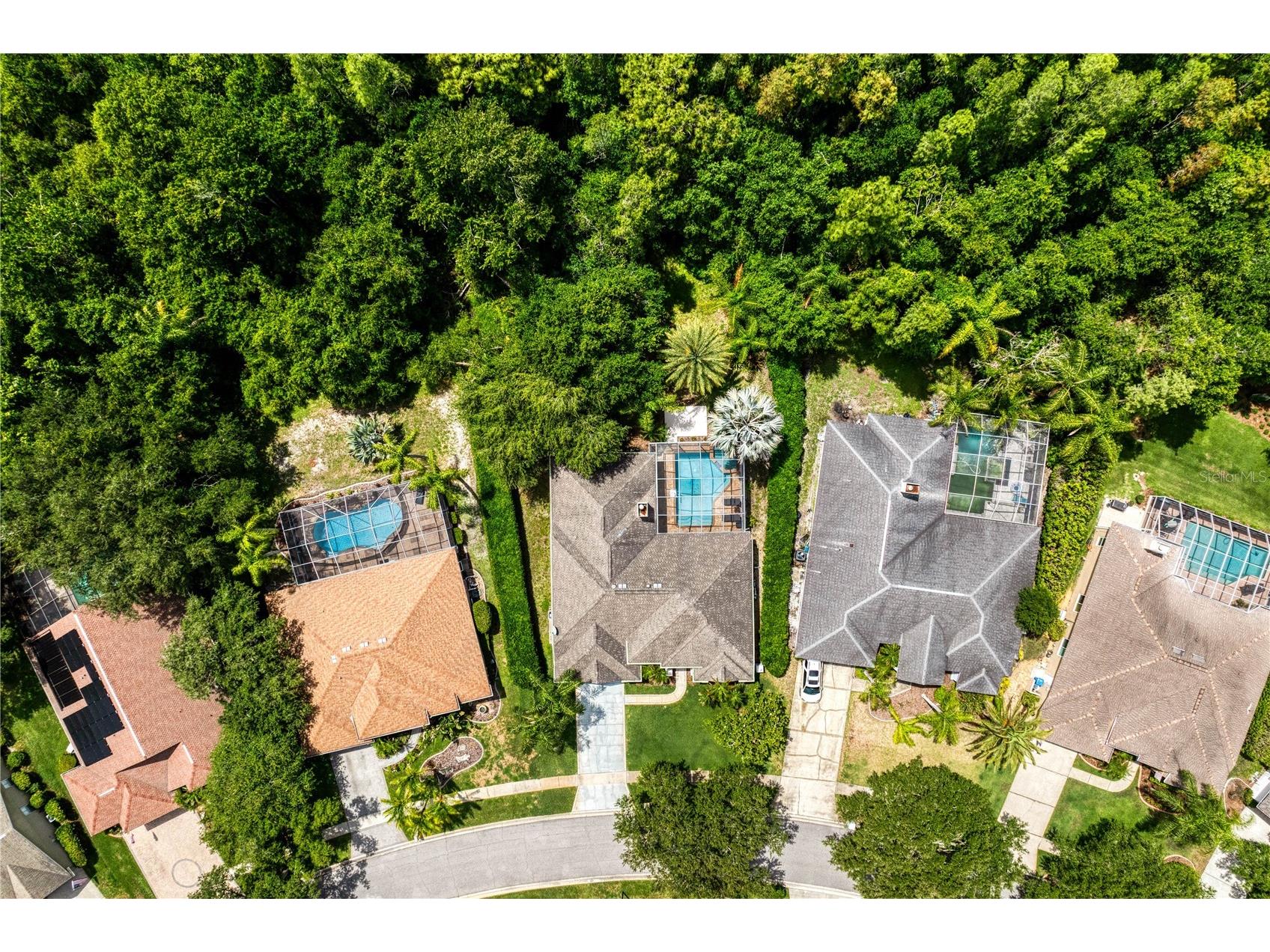 6123 Savoy Circle Lutz FL 33558 TB8513541 image2
