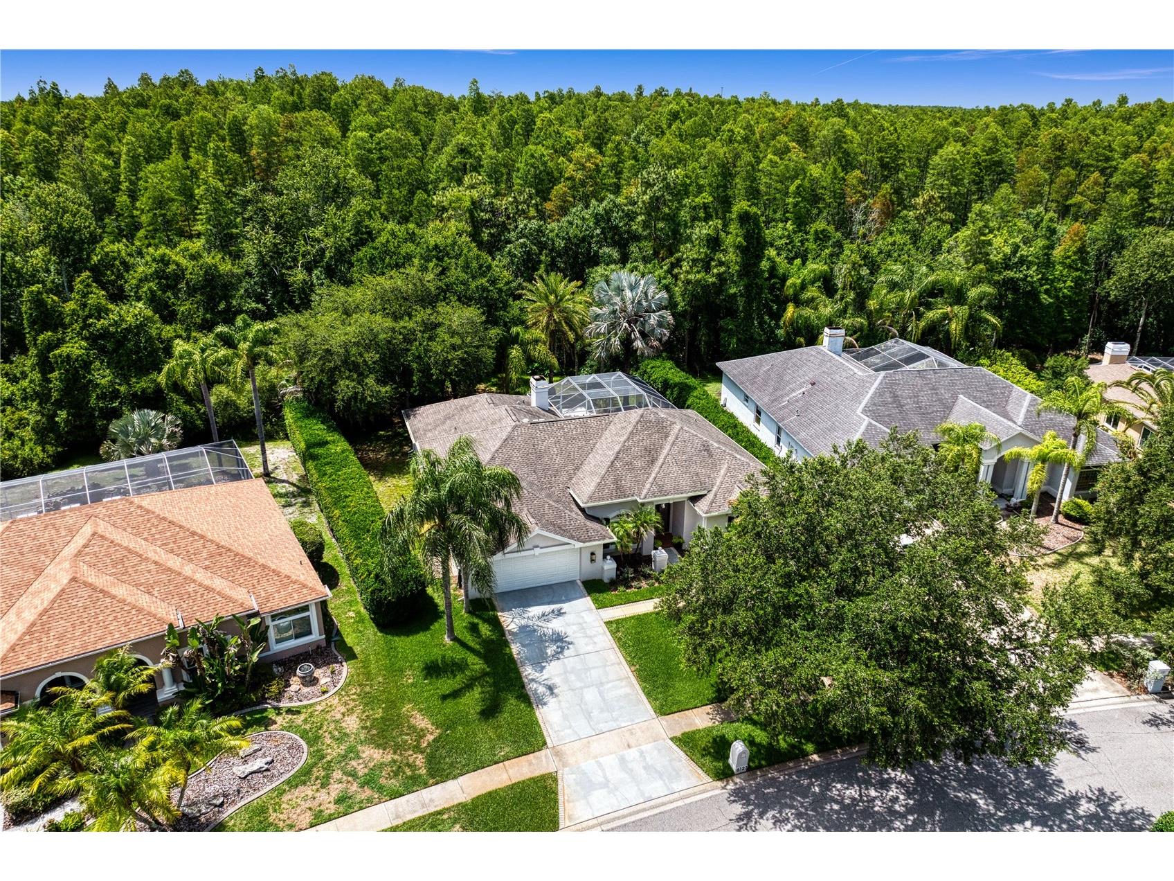 6123 Savoy Circle Lutz FL 33558 TB8513541 image3