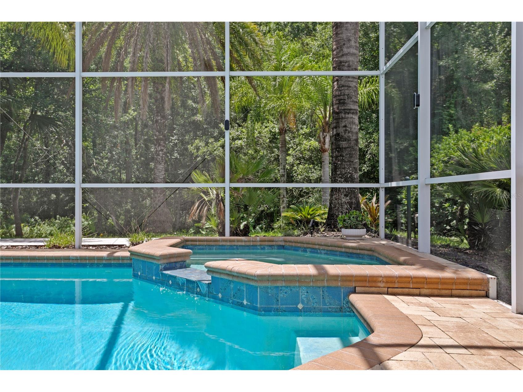 6123 Savoy Circle Lutz FL 33558 TB8513541 image41