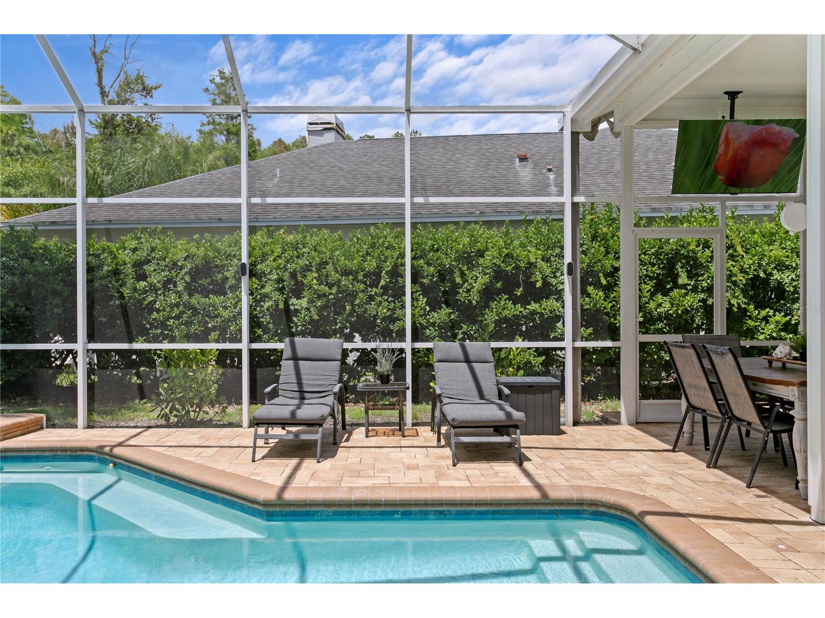 6123 Savoy Circle Lutz FL 33558 TB8513541 image44
