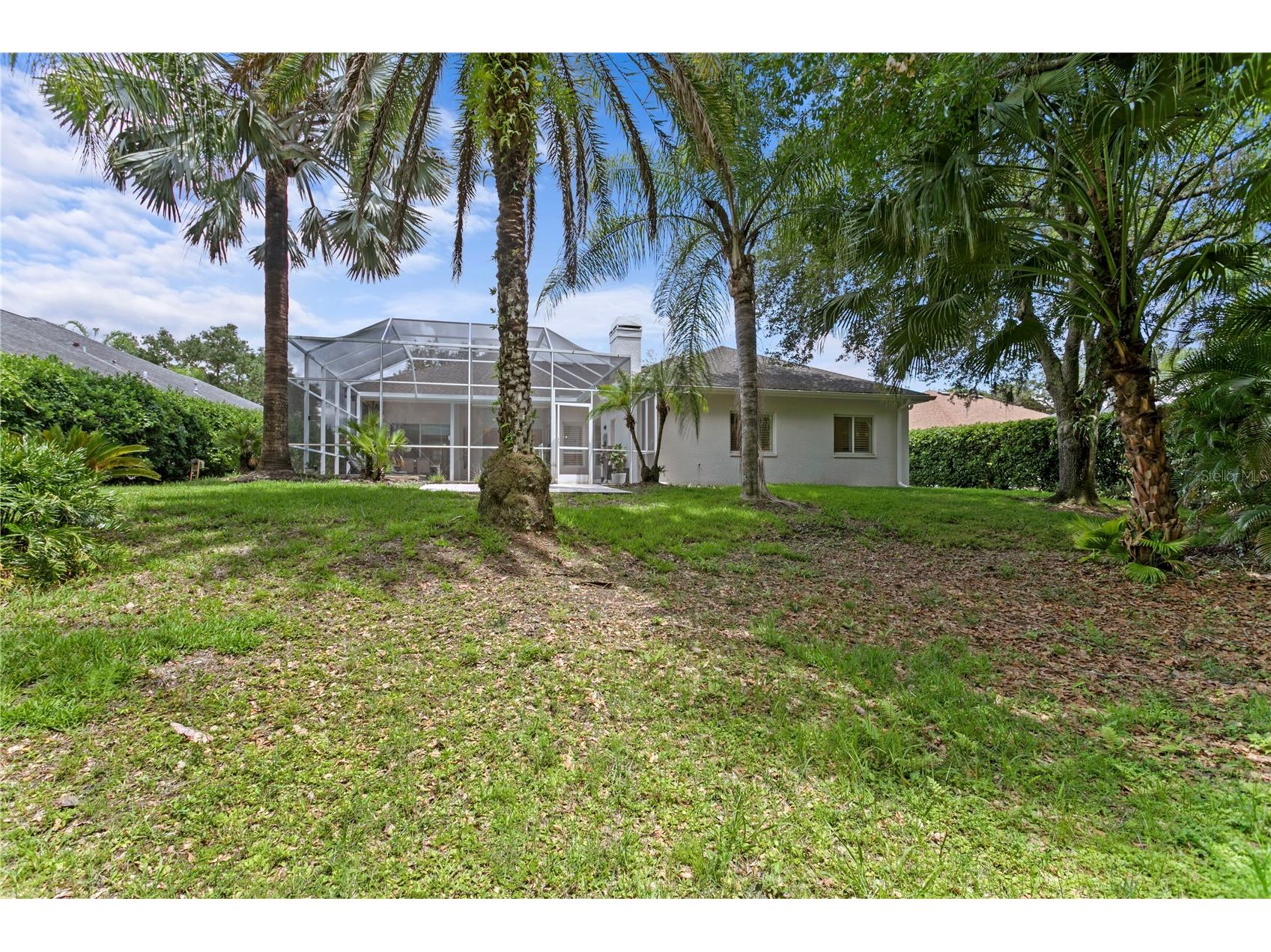 6123 Savoy Circle Lutz FL 33558 TB8513541 image46
