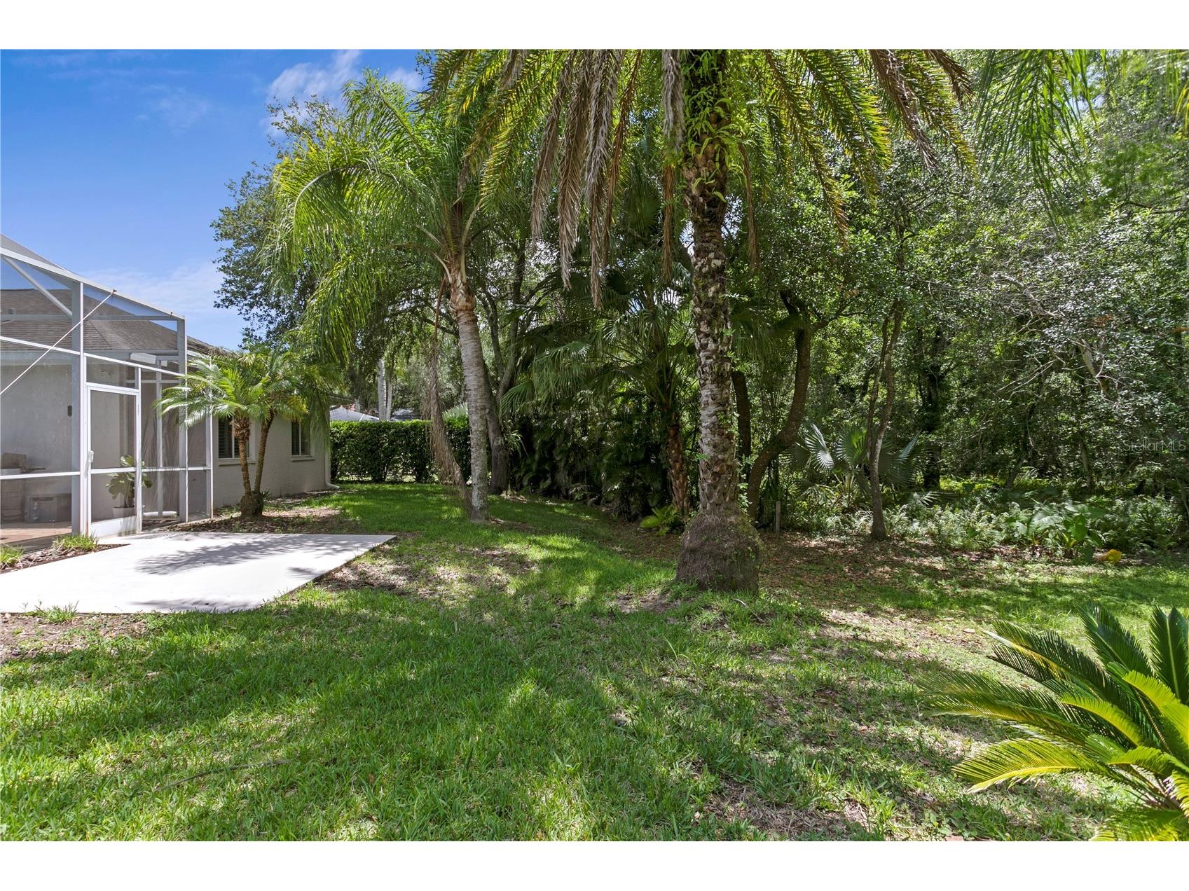 6123 Savoy Circle Lutz FL 33558 TB8513541 image47