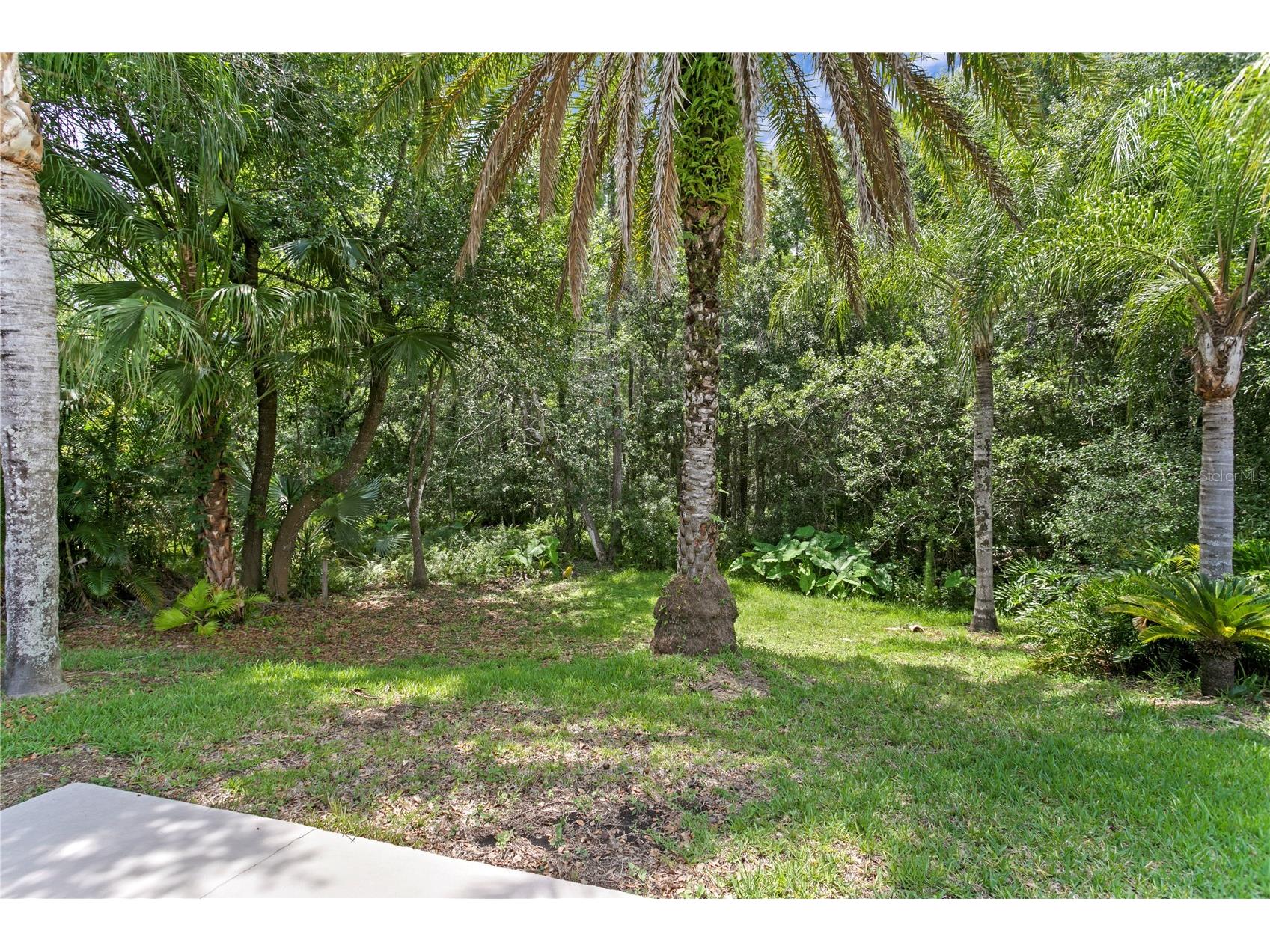 6123 Savoy Circle Lutz FL 33558 TB8513541 image49