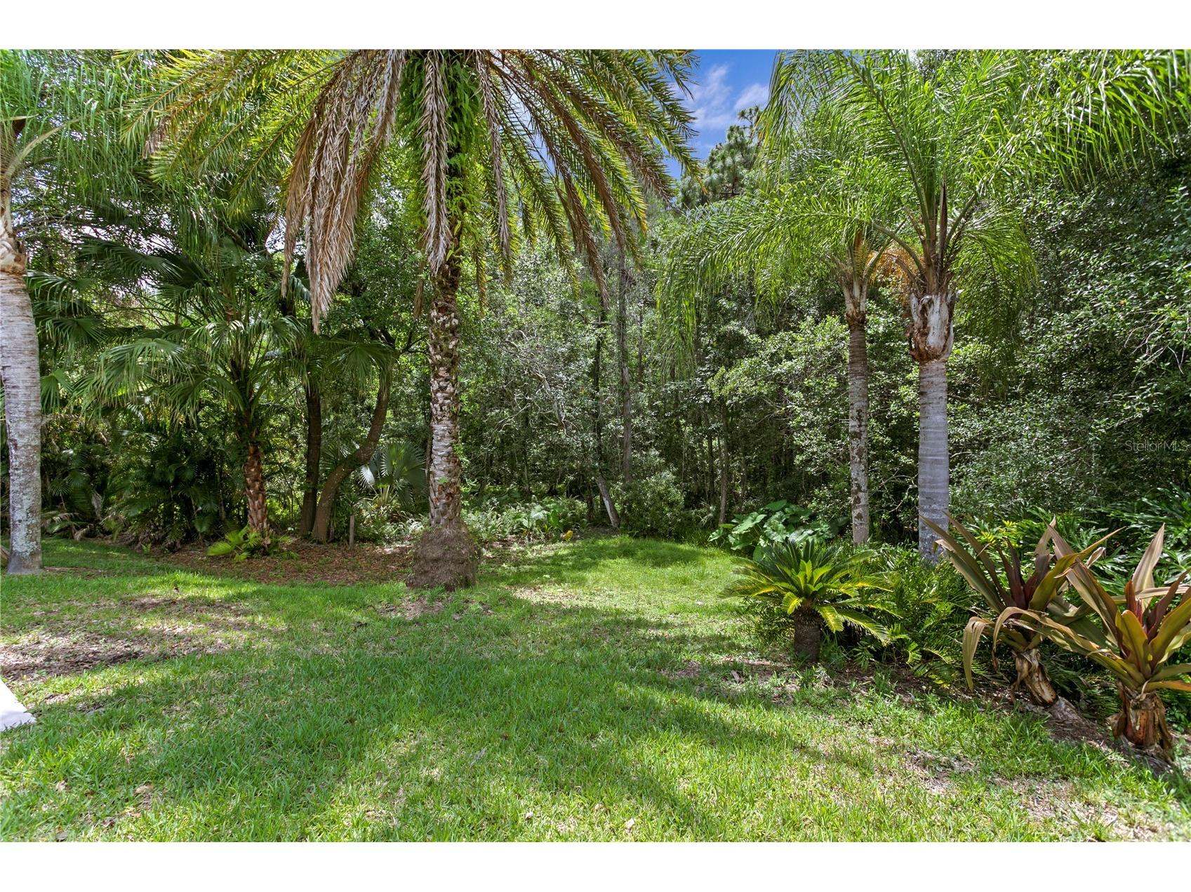 6123 Savoy Circle Lutz FL 33558 TB8513541 image50
