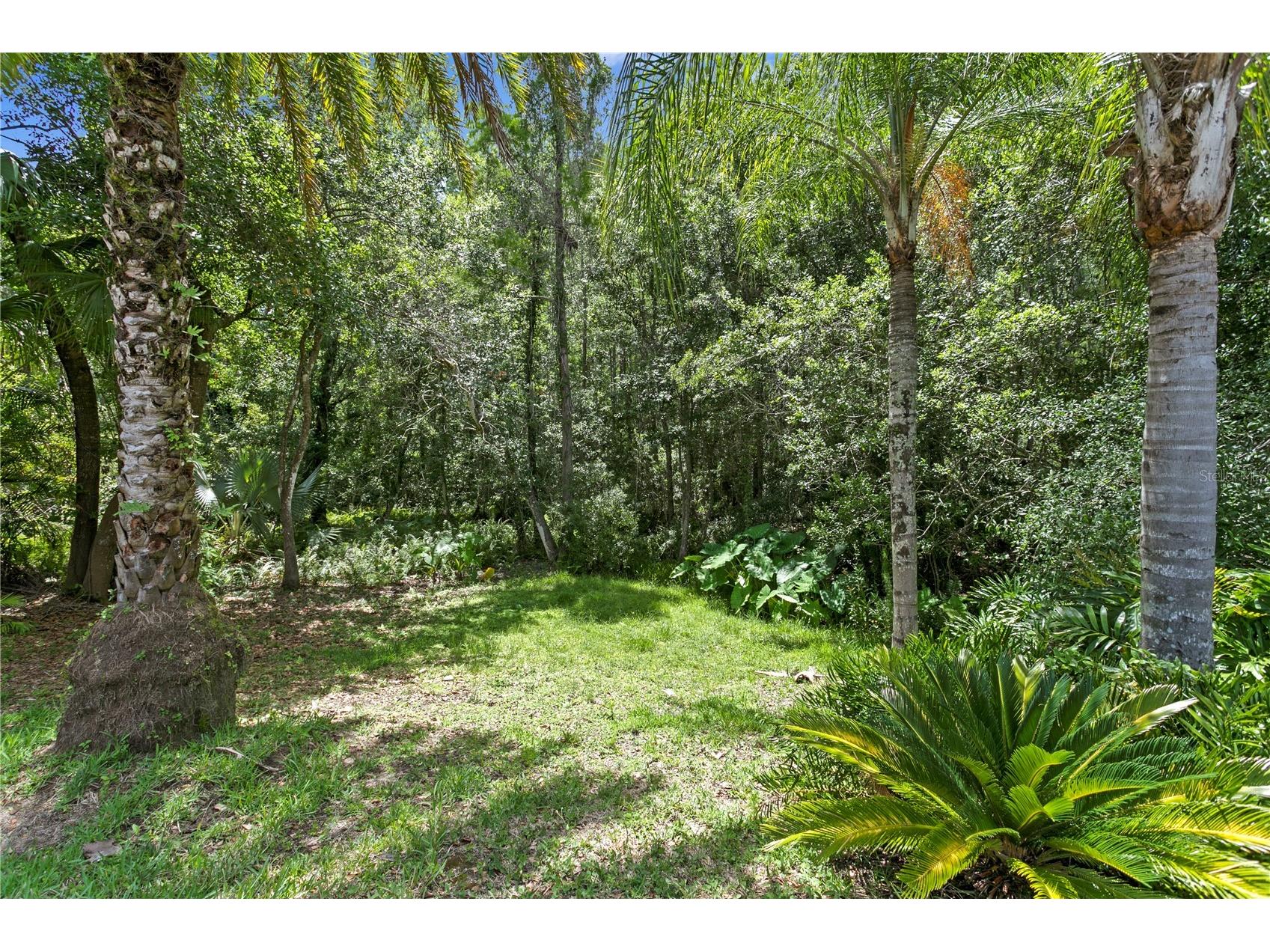 6123 Savoy Circle Lutz FL 33558 TB8513541 image51