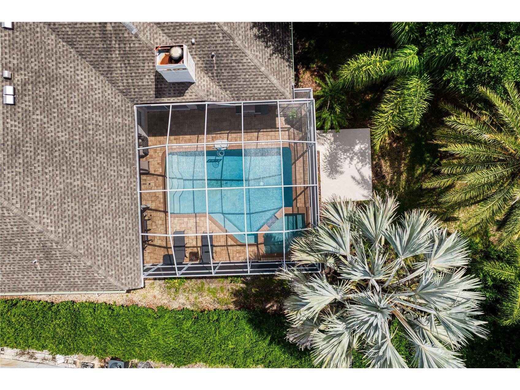 6123 Savoy Circle Lutz FL 33558 TB8513541 image55