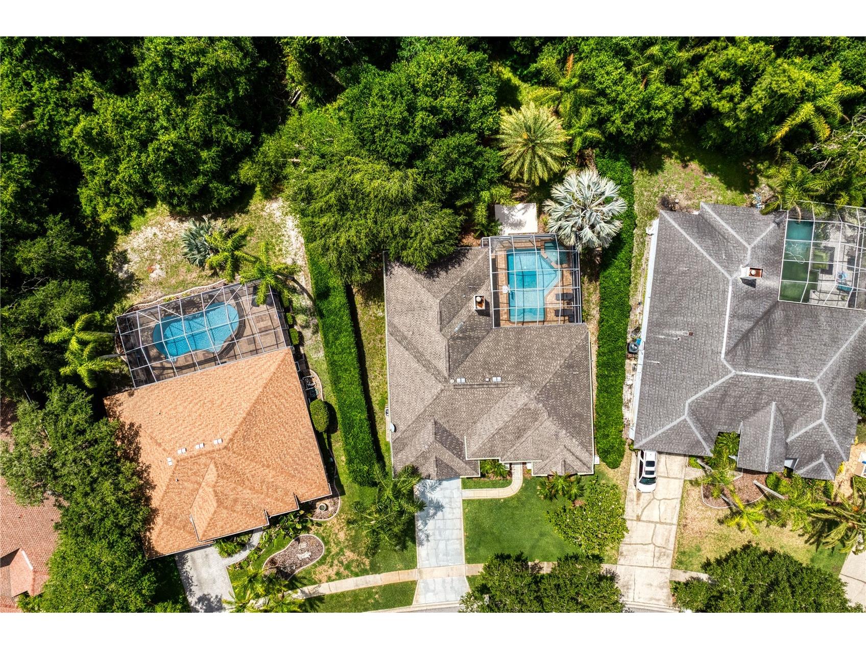 6123 Savoy Circle Lutz FL 33558 TB8513541 image56