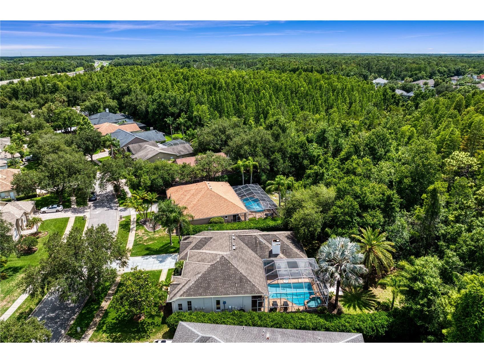 6123 Savoy Circle Lutz FL 33558 TB8513541 image57