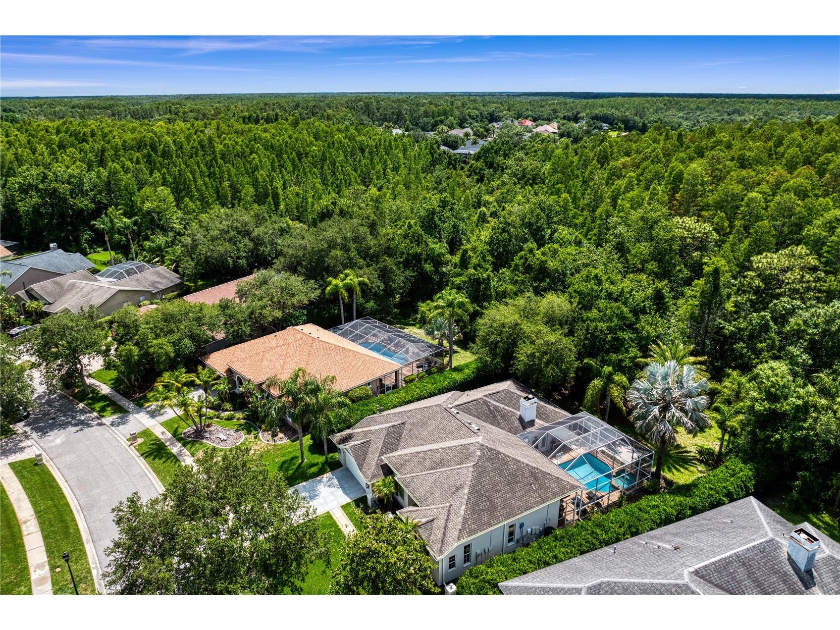 6123 Savoy Circle Lutz FL 33558 TB8513541 image58