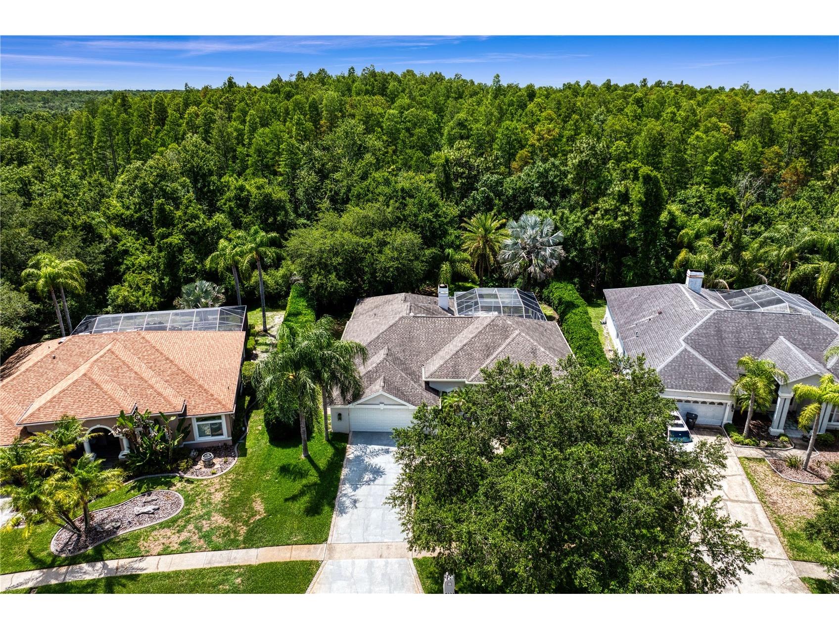 6123 Savoy Circle Lutz FL 33558 TB8513541 image59