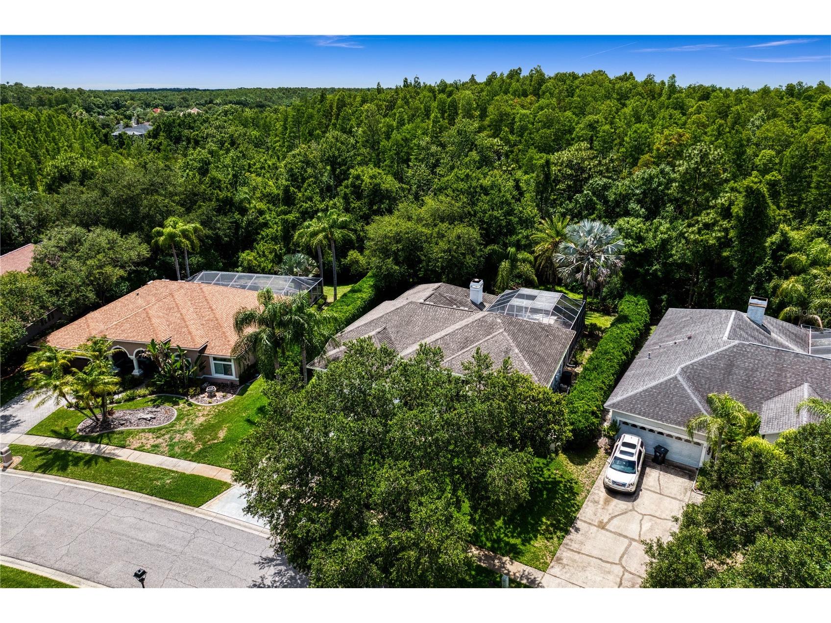 6123 Savoy Circle Lutz FL 33558 TB8513541 image60