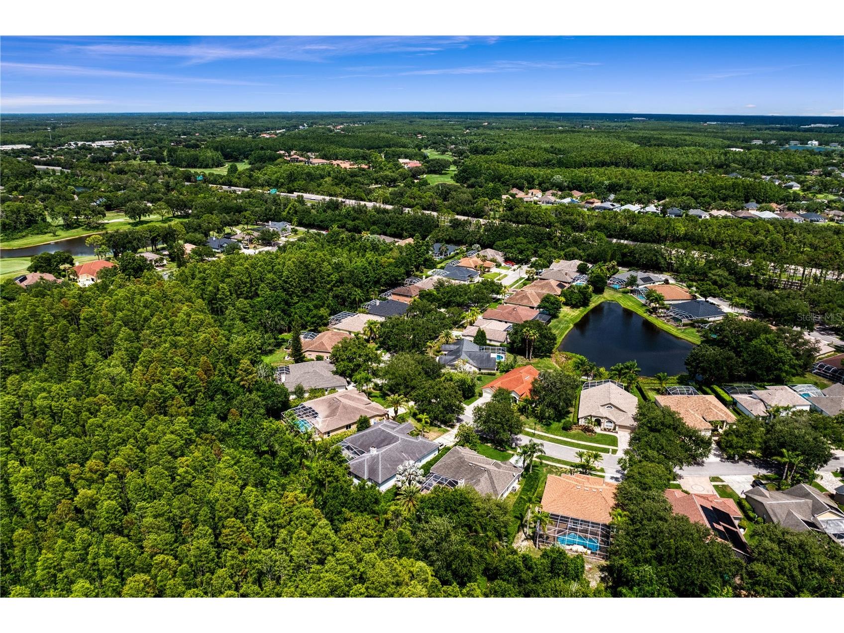 6123 Savoy Circle Lutz FL 33558 TB8513541 image61