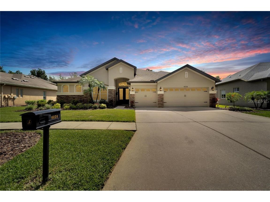 6124 Ibispark Drive Lithia FL 33547 T3450950 image1