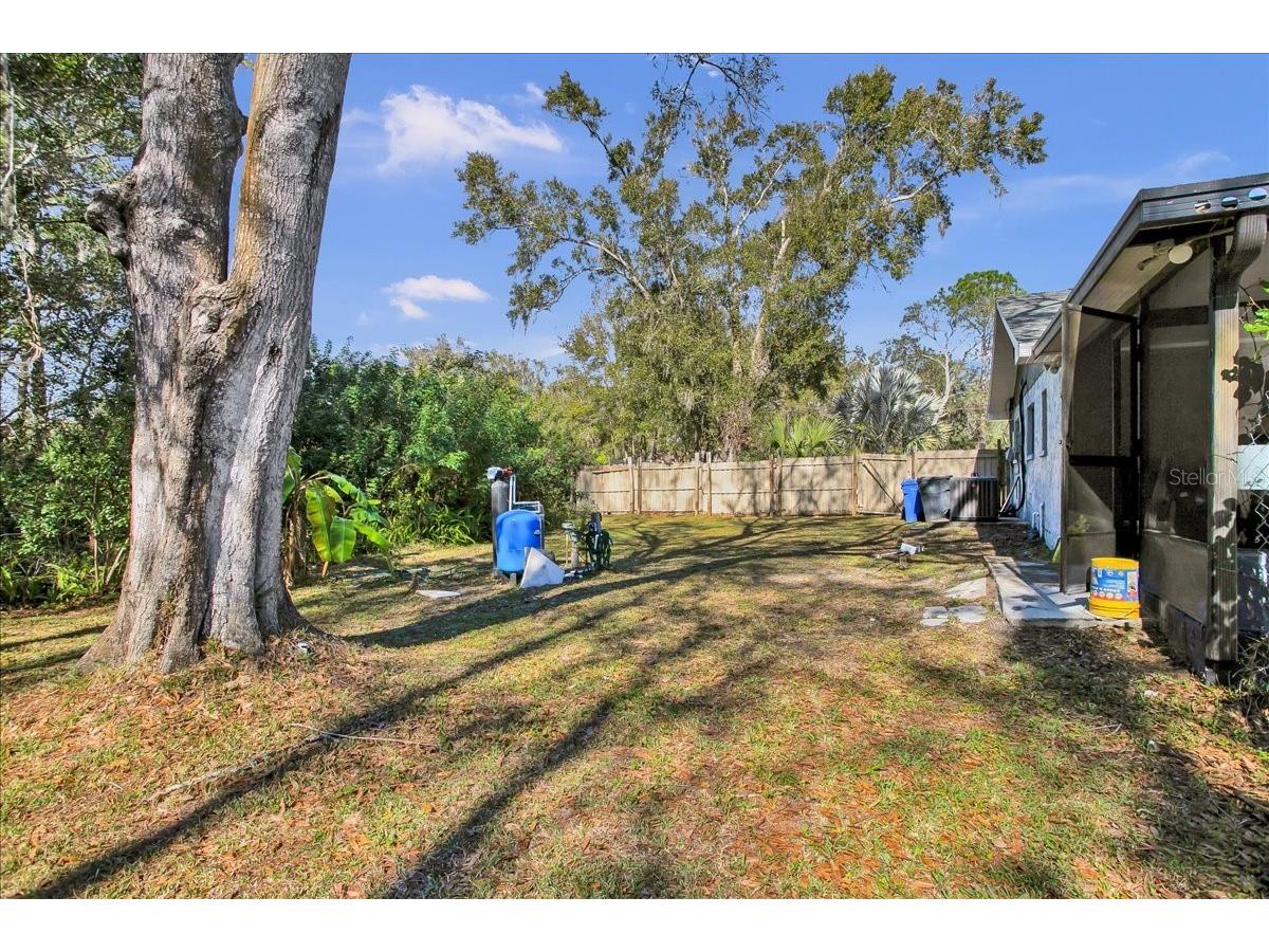 6124 Lynn Road Tampa FL 33625 S5141982 image35