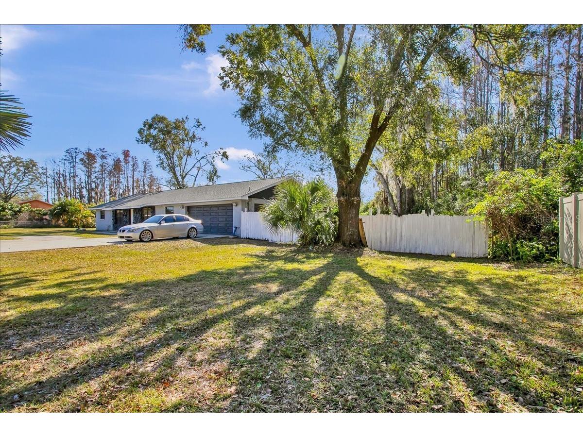 6124 Lynn Road Tampa FL 33625 S5141982 image6