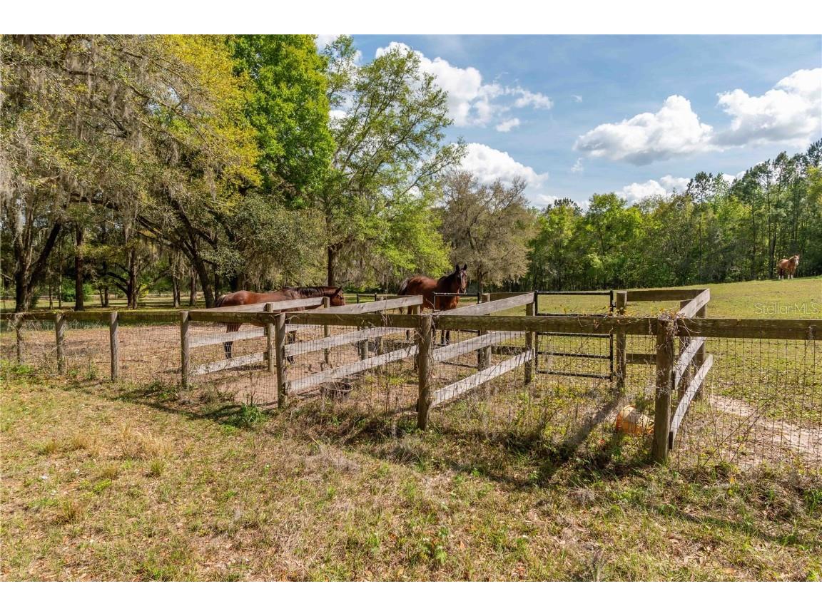 6124 NW 160th Street Reddick FL 32686 OM698035 image22