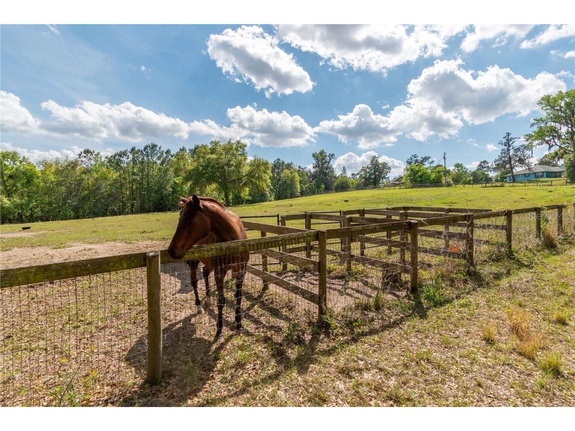 6124 NW 160th Street Reddick FL 32686 OM698035 image23