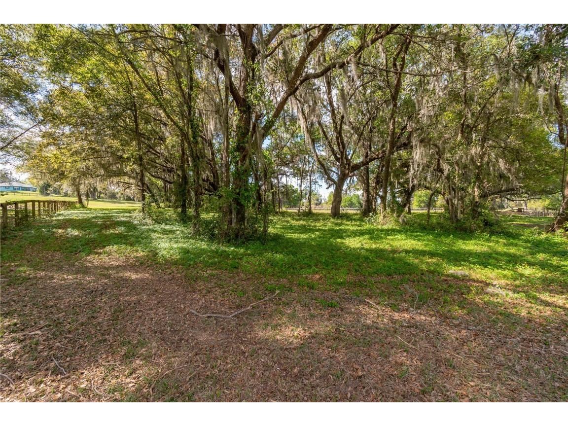 6124 NW 160th Street Reddick FL 32686 OM698035 image28