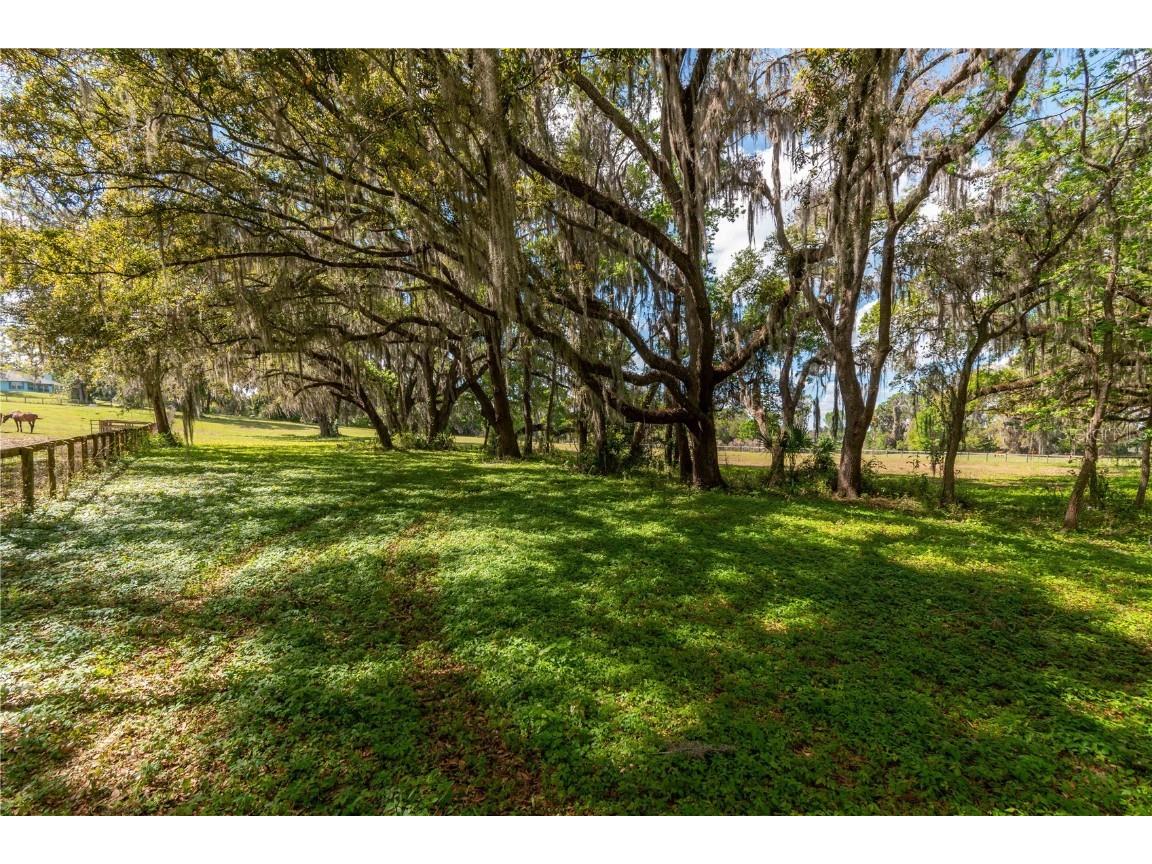 6124 NW 160th Street Reddick FL 32686 OM698035 image30