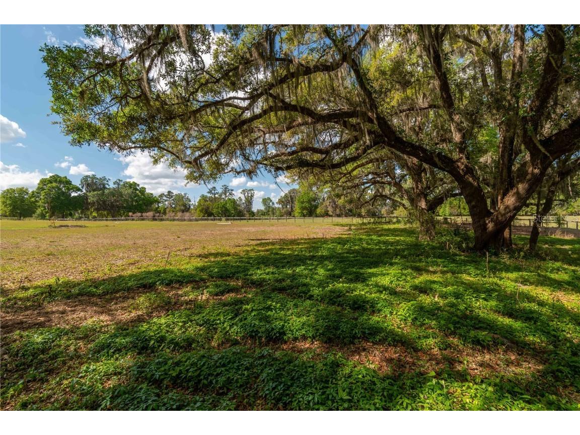 6124 NW 160th Street Reddick FL 32686 OM698035 image31