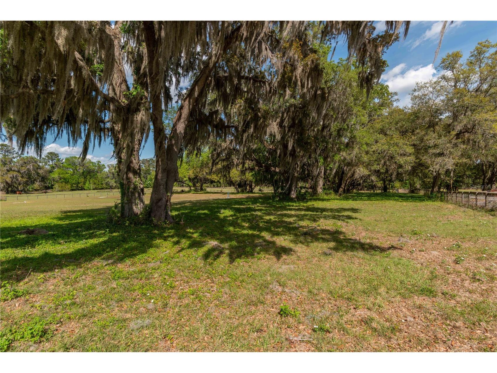 6124 NW 160th Street Reddick FL 32686 OM716763 image20