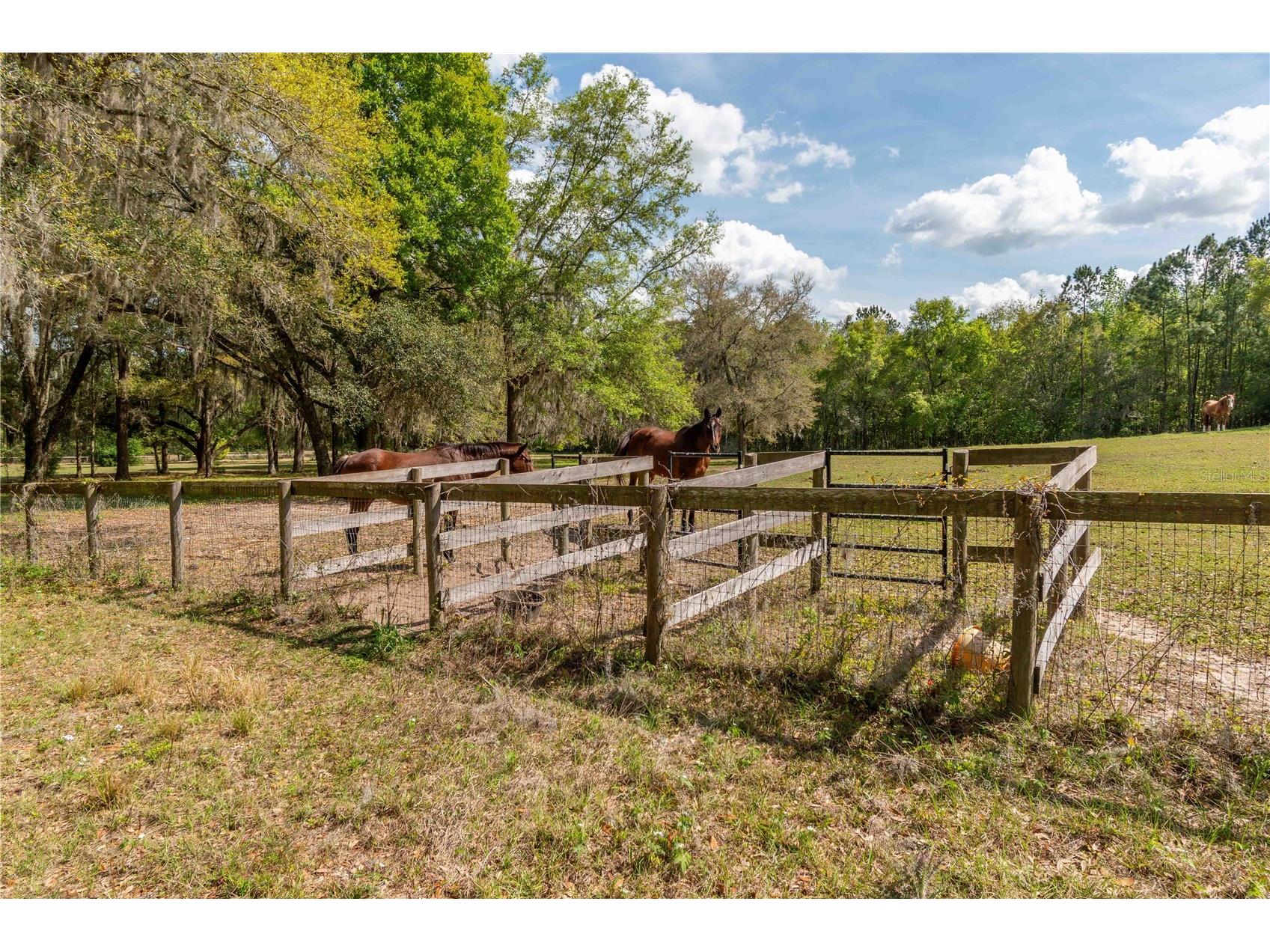 6124 NW 160th Street Reddick FL 32686 OM716763 image21