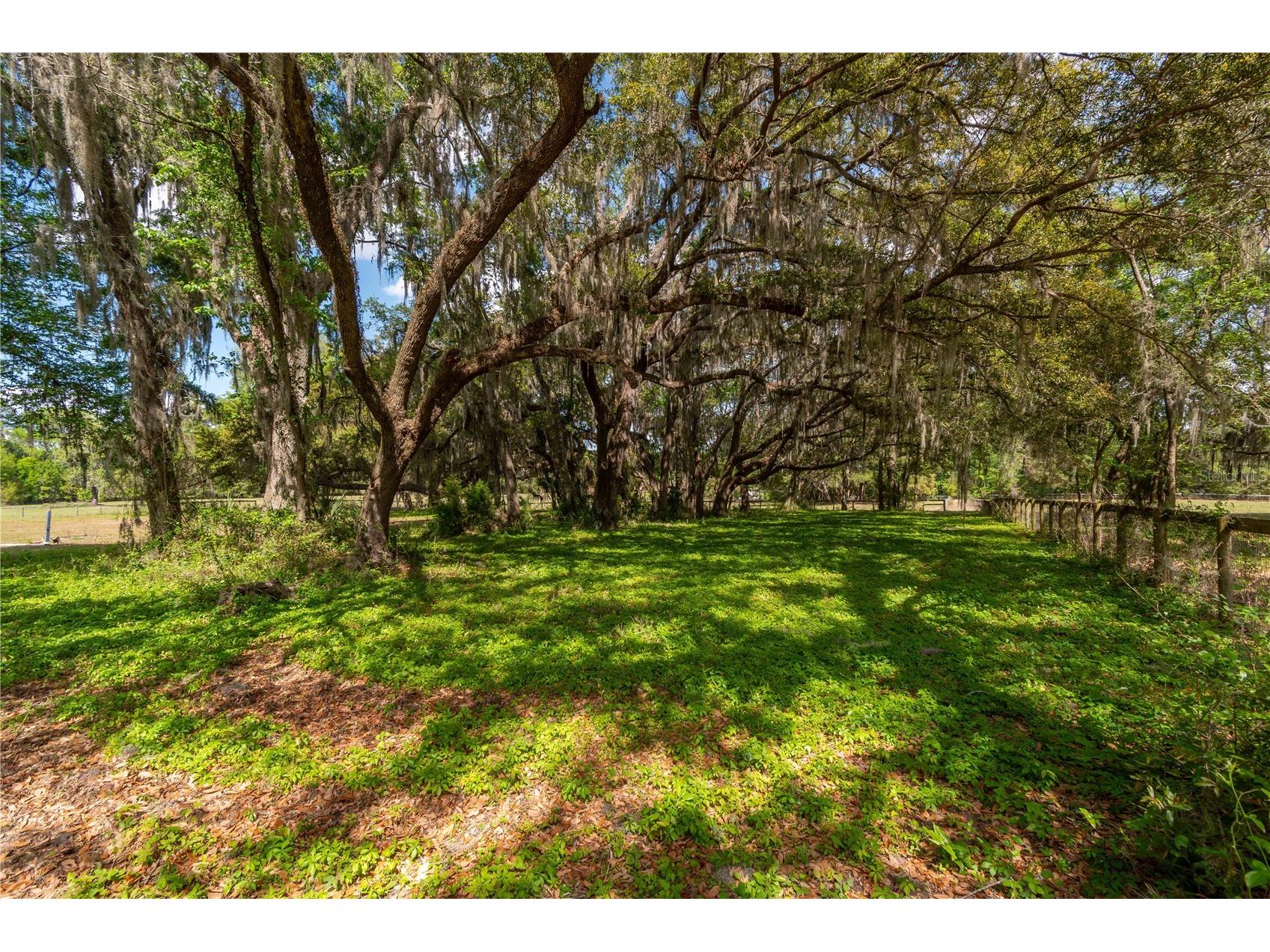 6124 NW 160th Street Reddick FL 32686 OM716763 image23