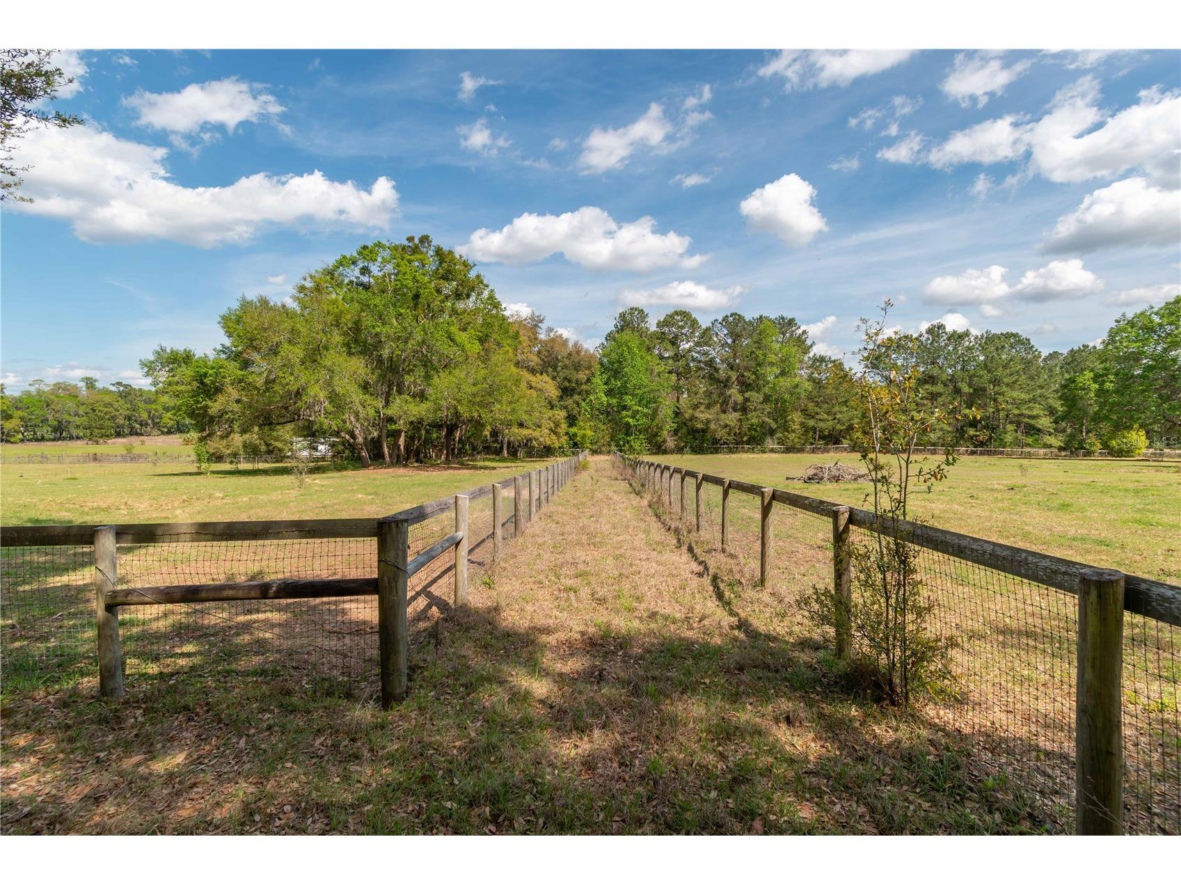 6124 NW 160th Street Reddick FL 32686 OM716763 image26