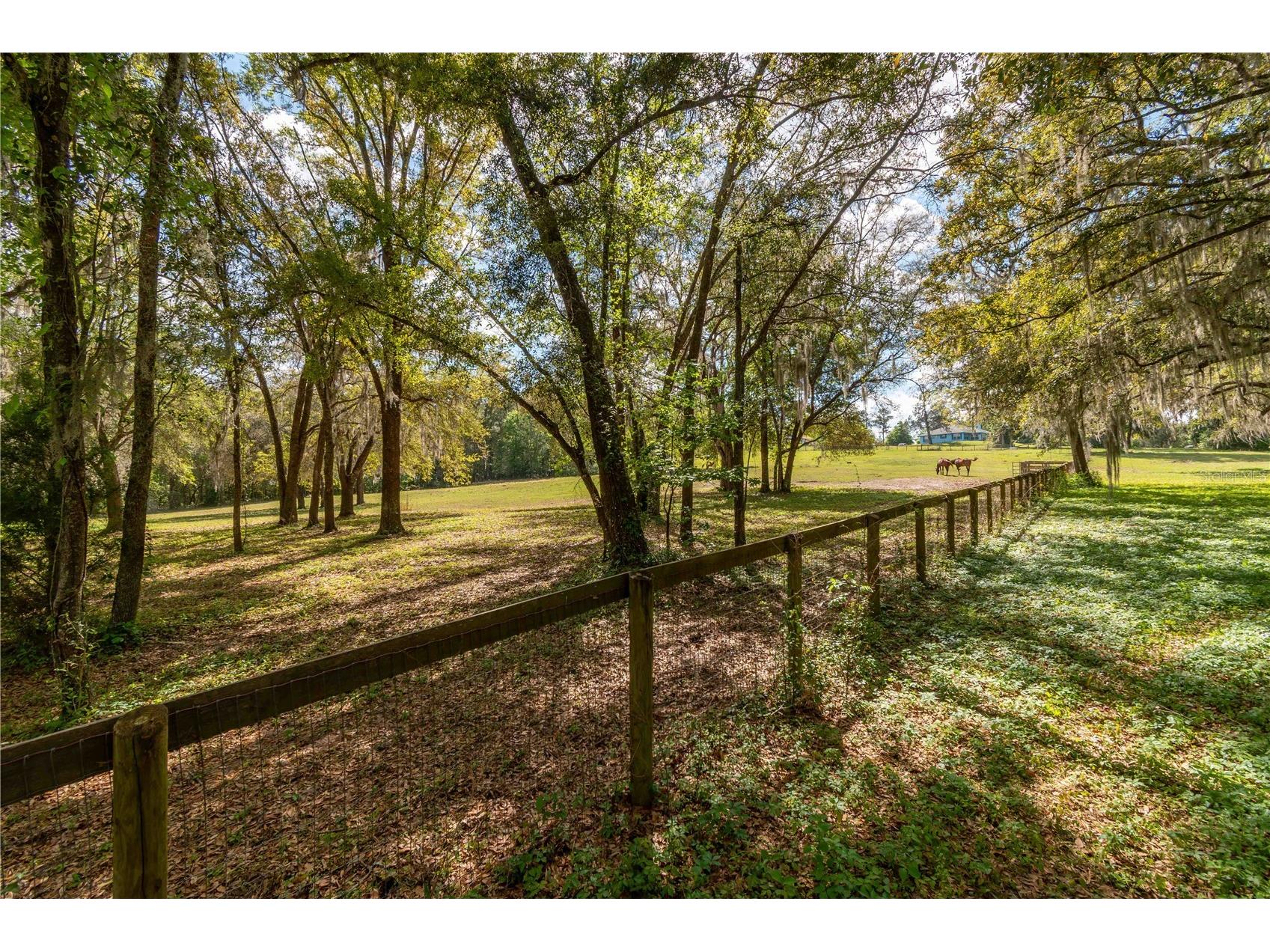6124 NW 160th Street Reddick FL 32686 OM716763 image29
