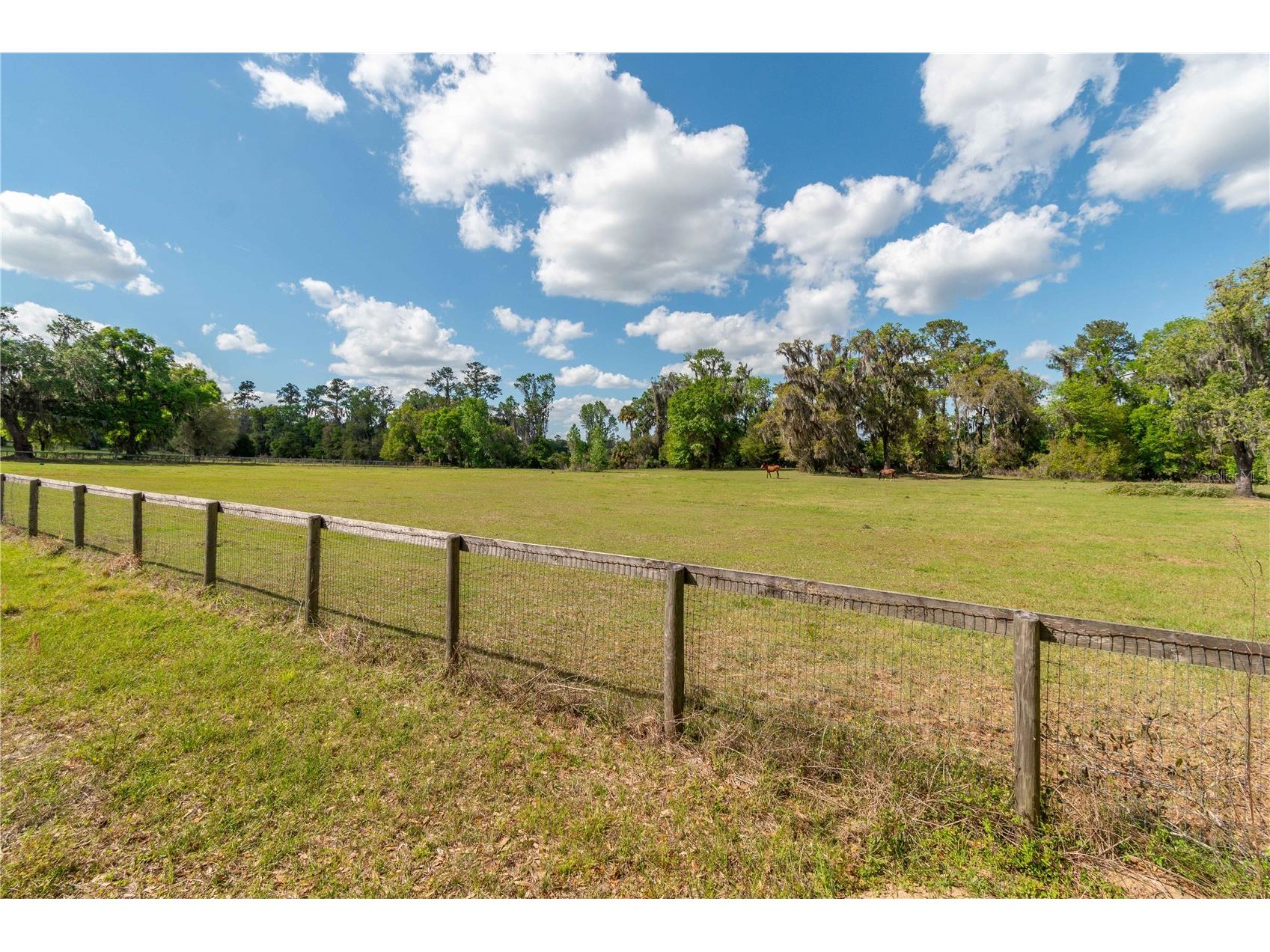 6124 NW 160th Street Reddick FL 32686 OM716763 image33