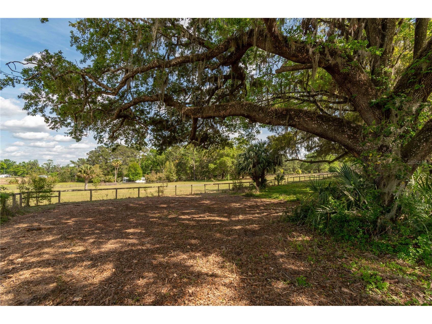 6124 NW 160th Street Reddick FL 32686 OM716763 image34