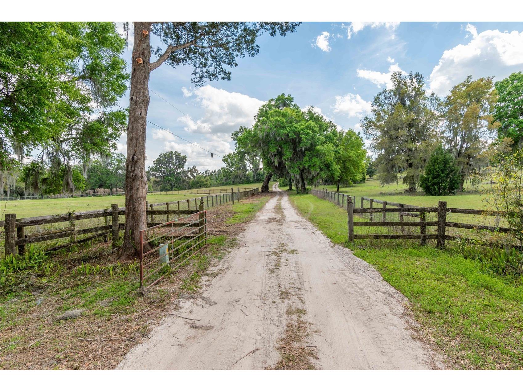 6124 NW 160th Street Reddick FL 32686 OM716763 image38