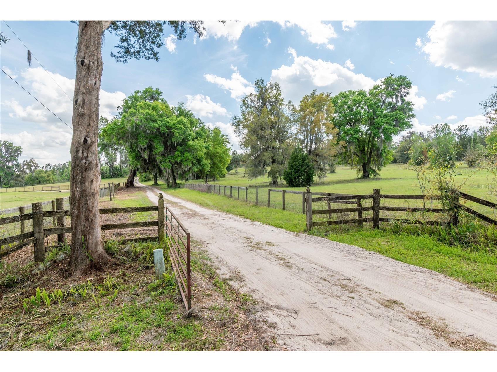 6124 NW 160th Street Reddick FL 32686 OM716763 image39