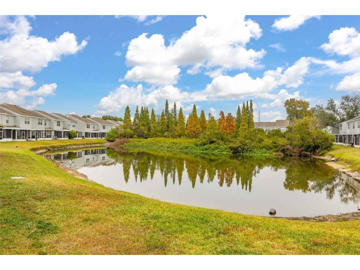 6124 Osprey Lake Circle Riverview FL 33578 S5139296 image35