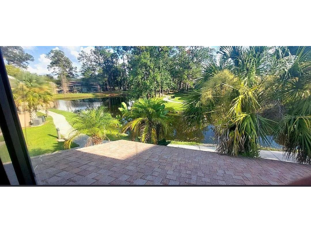 6124 Peregrine Avenue #D06 Orlando FL 32819 O6344391 image29