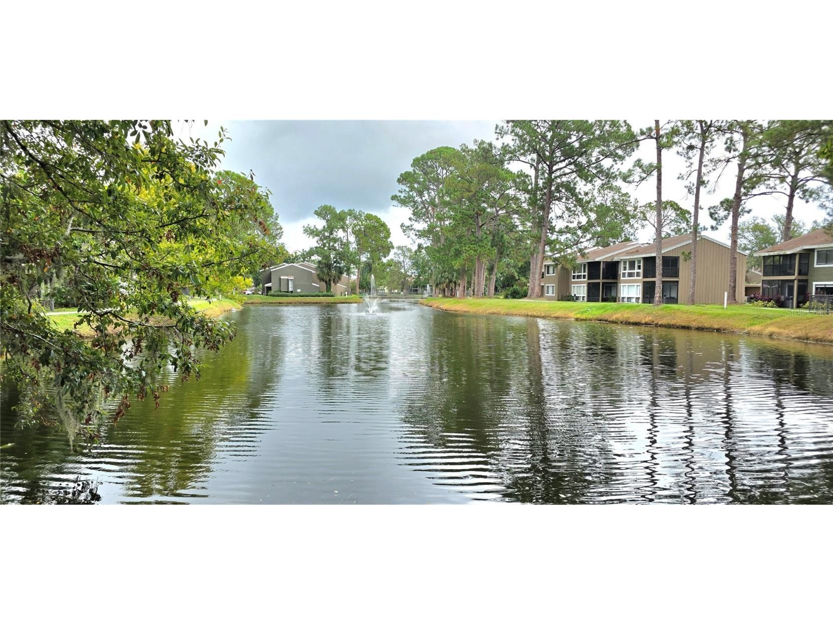 6124 Peregrine Avenue #D06 Orlando FL 32819 O6344391 image42