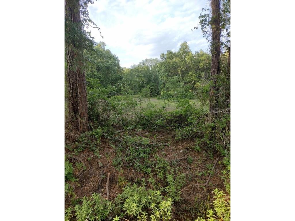 6124 Walnut Avenue Bunnell FL 32110 FC290490 image1