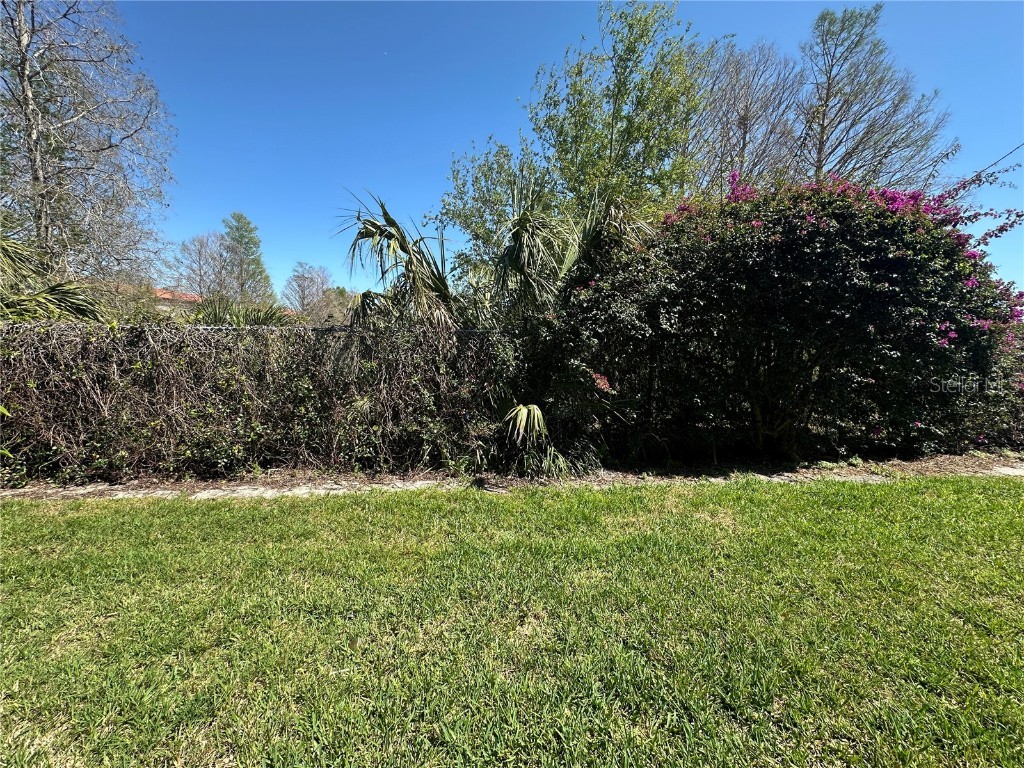 6125 113th Street #505 Seminole FL 33772 TB8361551 image68