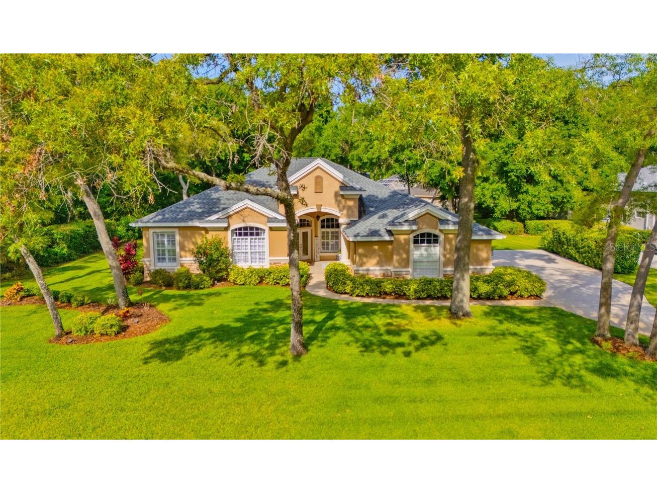 6125 Audubon Manor Boulevard Lithia FL 33547 T3517797 image1