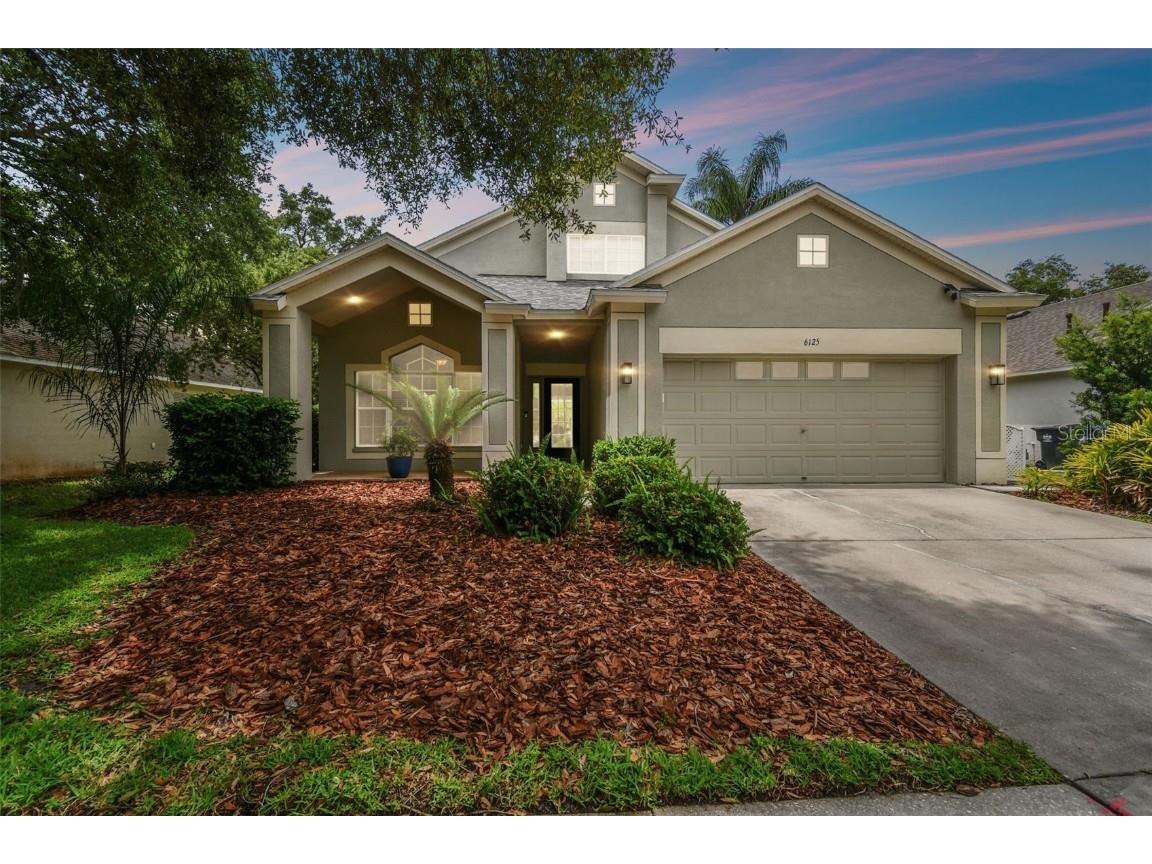 6125 Gannetdale Drive Lithia FL 33547 T3523470 image1