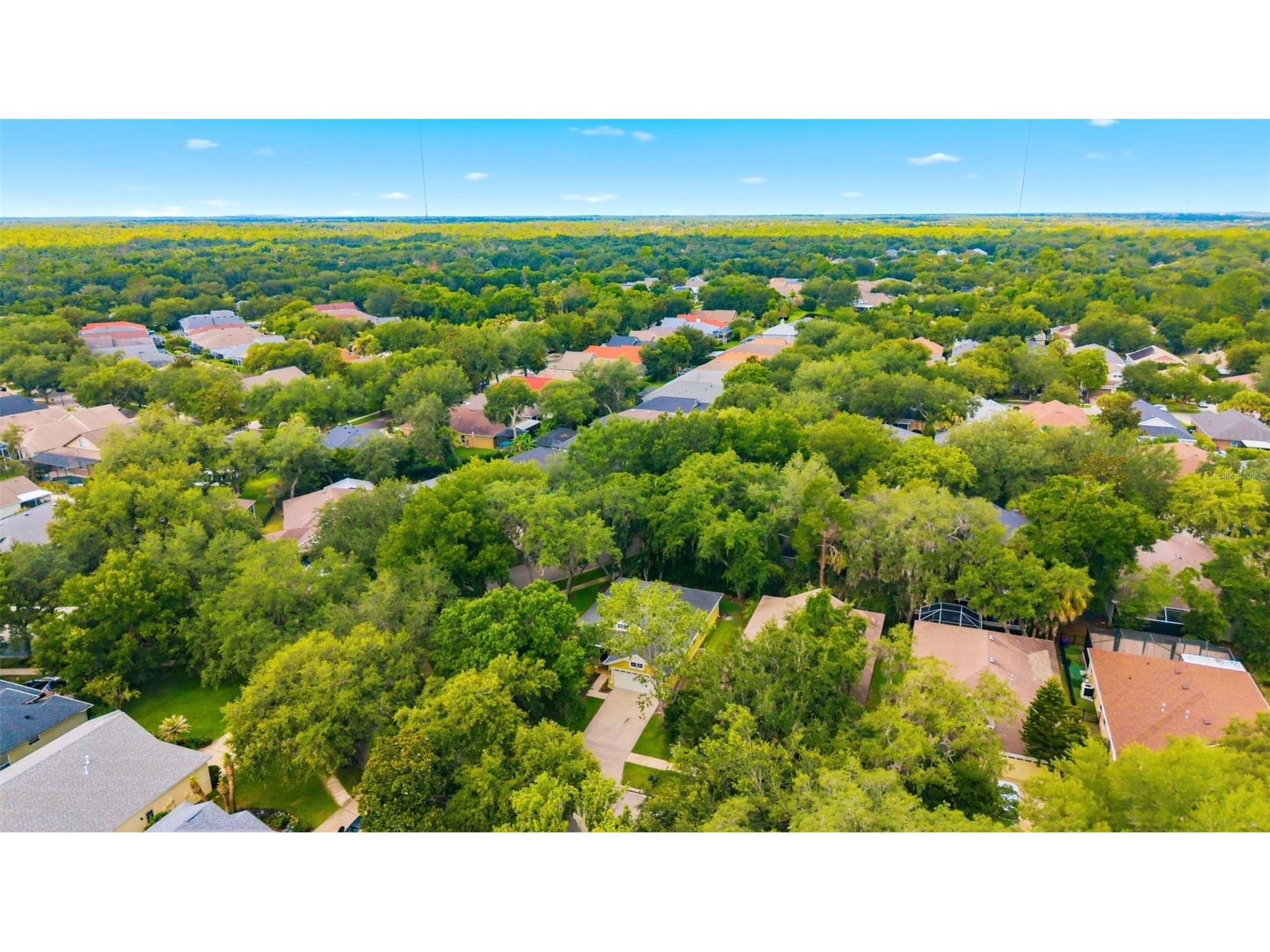 6125 Gannetwood Place Lithia FL 33547 TB8514698 image35