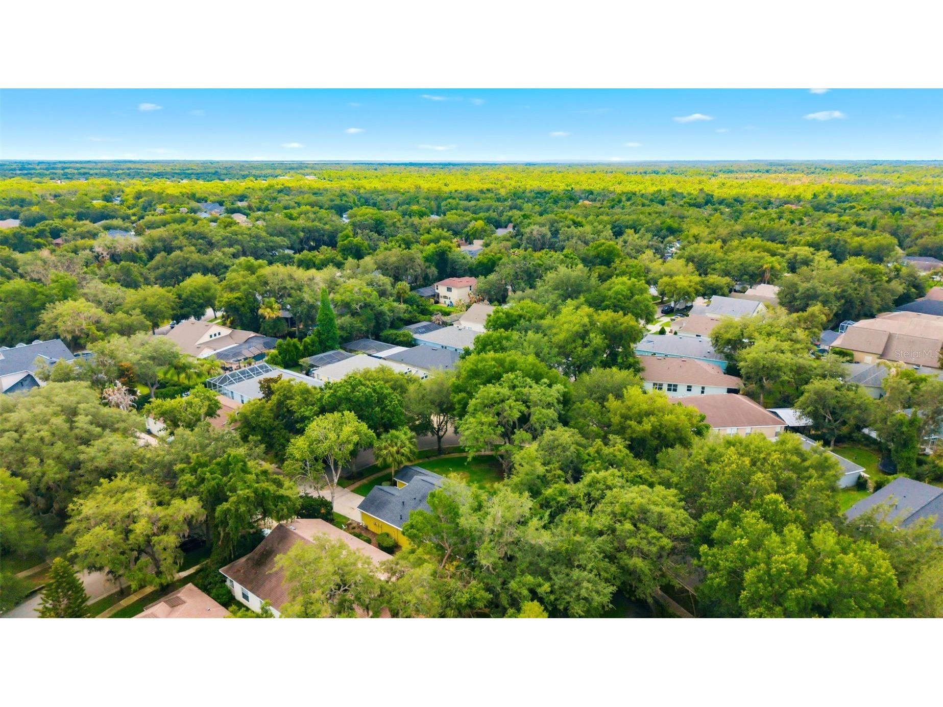6125 Gannetwood Place Lithia FL 33547 TB8514698 image36