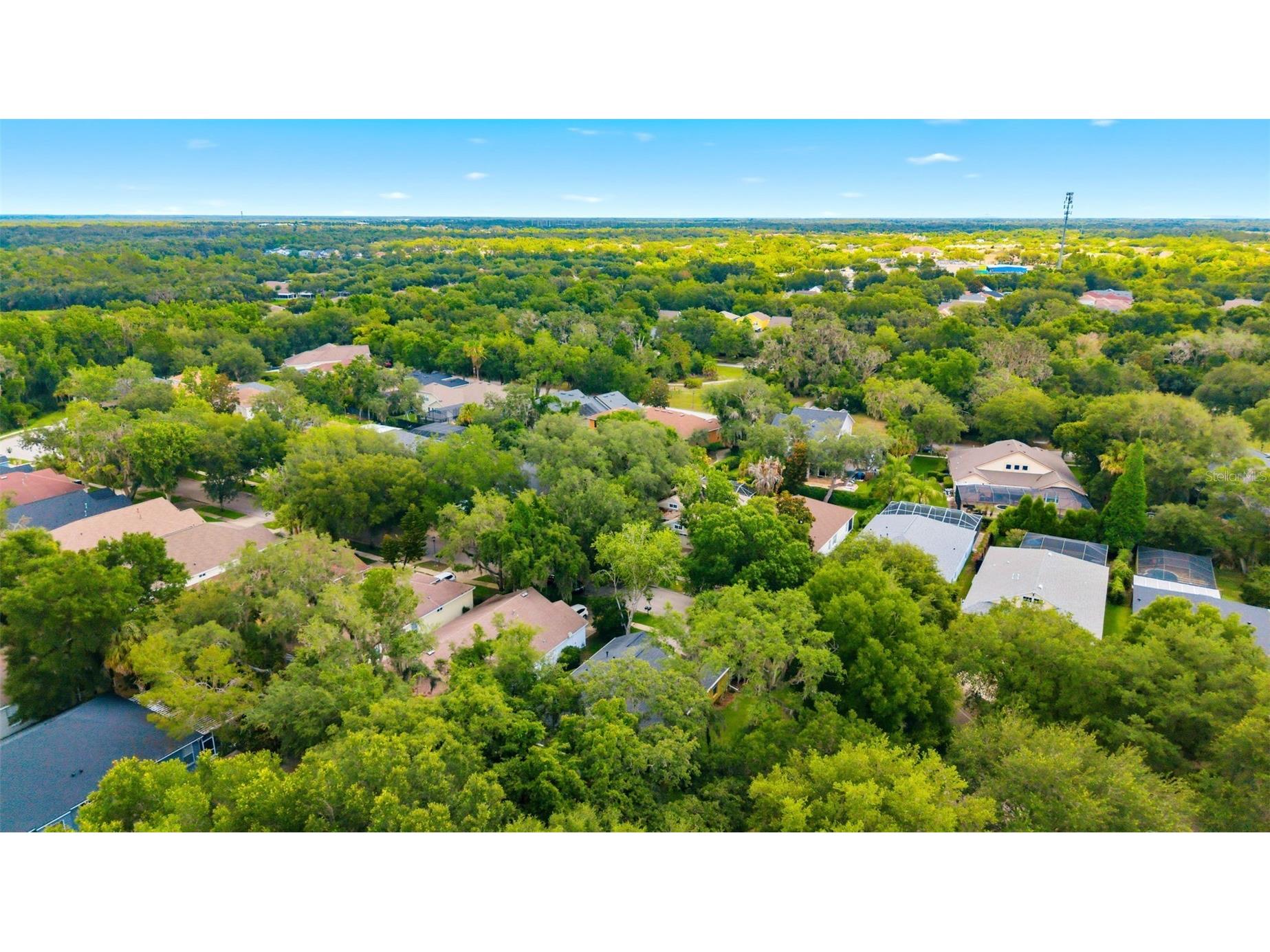 6125 Gannetwood Place Lithia FL 33547 TB8514698 image37